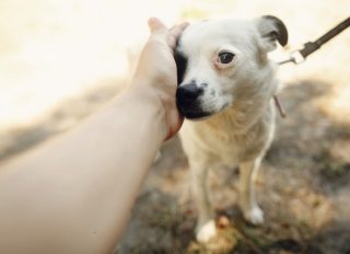 Mio caro Dio anche tu sei imperfetto. Ecco dove…