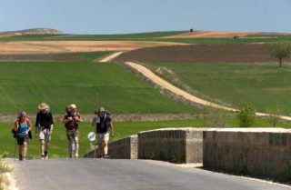 Papa Francesco  ringrazia il pellegrino con disabilità che ha fatto il cammino  in Spagna